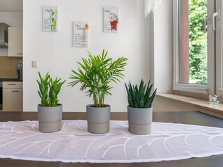 Apartamento Sebnitz  40