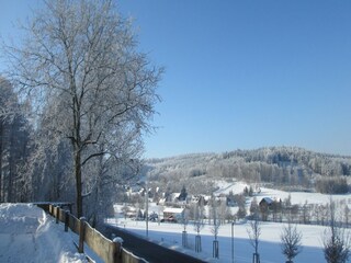 Casa per le vacanze Schirgiswalde Registrazione all'aperto 7