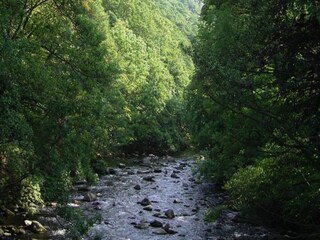 Appartamento Wienrode Ambiente 23