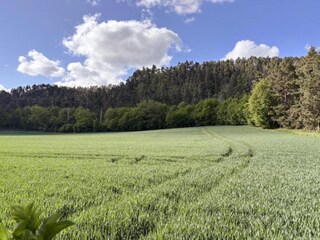 Apartment Wienrode Environment 35