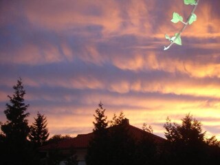 Apartment Wienrode Environment 36