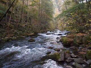 Apartment Wienrode Umgebung 24
