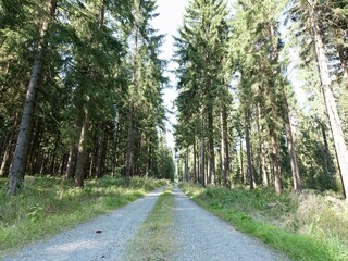 Appartement Morgenröthe-Rautenkranz Environnement 33