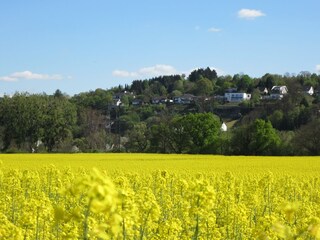 Blick zur Ferienwohnung vom Tal