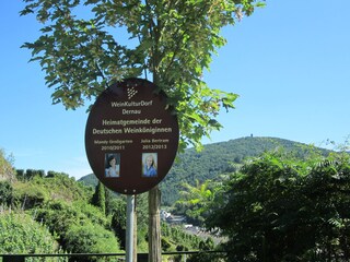 Rotweinwanderweg bei Dernau