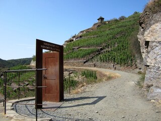 Rotweinwanderweg bei Mayschoß