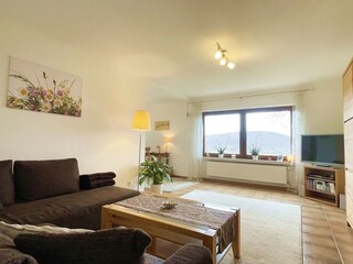 Vakantieappartement Sinzig Kenmerken 14