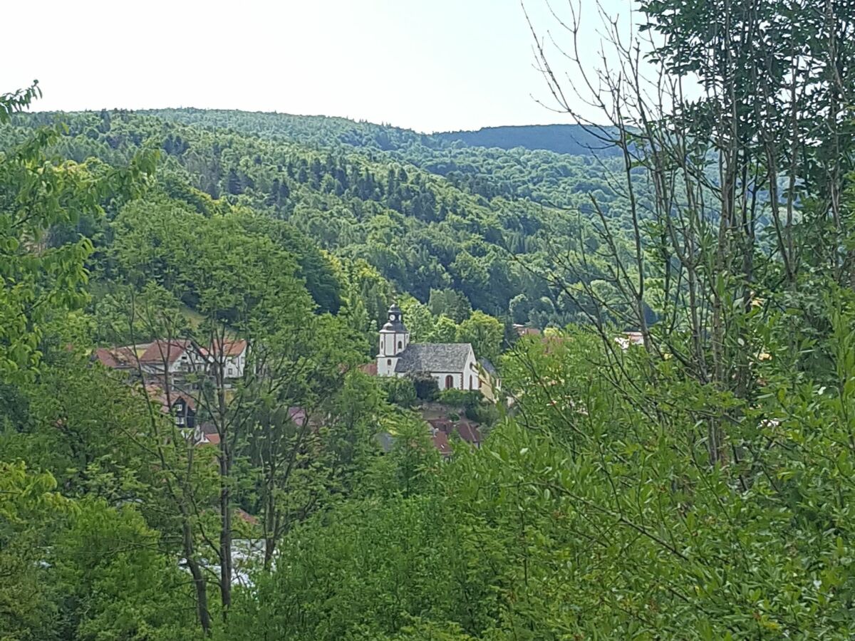 Ferienhaus Unterweid Umgebung 36