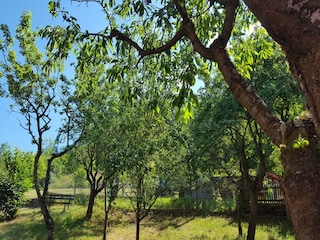 Ferienhaus Unterweid  31