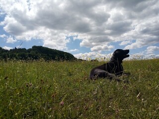 Ferienhaus Unterweid Umgebung 26