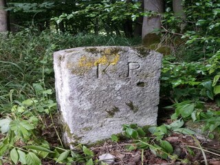 Casa de vacaciones Unterweid Entorno 31