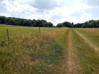 Ferienhaus Unterweid Umgebung 26