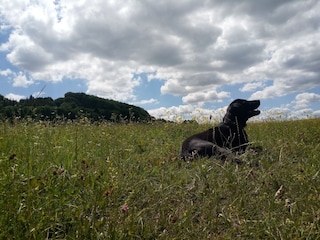 Ferienhaus Unterweid Umgebung 27