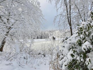 Appartement Hahnenklee Omgeving 22