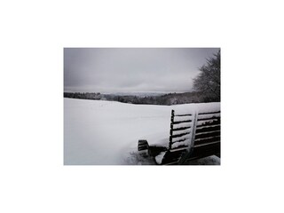 Appartamento Adenau Ambiente 50