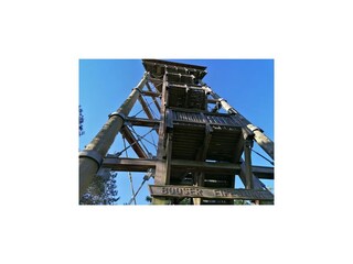 Appartement Adenau Omgeving 50