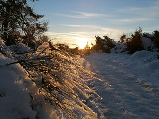 Appartamento Adenau Ambiente 47