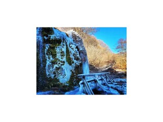 Apartment Adenau Environment 47