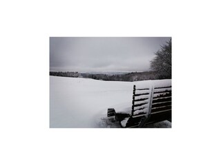 Apartment Adenau Umgebung 46