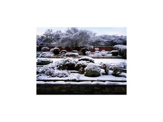 Appartement Adenau Buitenaudio-opname 7