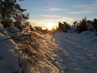 Apartment Adenau Environment 50