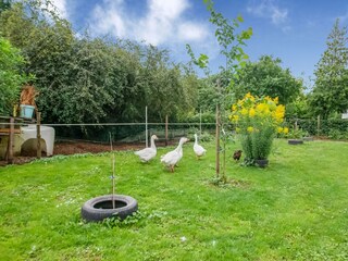 Type de propriété : Ferme Lützkampen Enregistrement extérieur 2