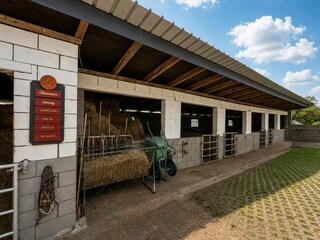 Casa de campo Lützkampen  51