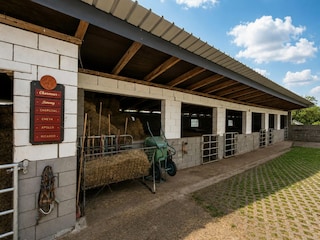 Farmhouse Lützkampen  54