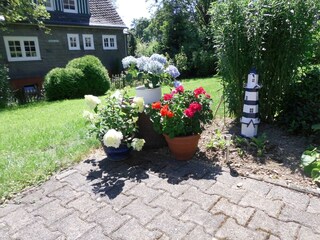 Apartment Oberkirchen  37