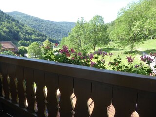 Apartment Brandenberg (Schwarzwald) Außenaufnahme 5