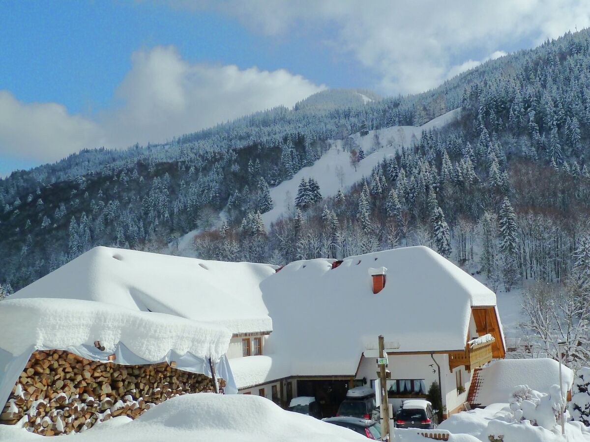 Apartment Brandenberg (Schwarzwald) Außenaufnahme 1