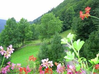 Apartment Brandenberg (Schwarzwald) Outdoor Recording 5