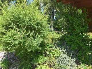 Appartement Schöfweg Buitenaudio-opname 6