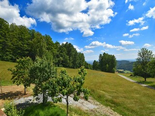 Apartment Schöfweg Außenaufnahme 2