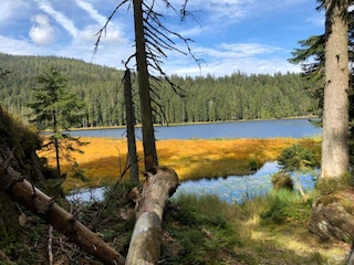 Apartment Schöfweg Umgebung 34