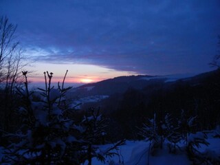 Appartement Schöfweg Environnement 36