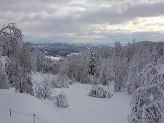 Appartement Schöfweg Environnement 37