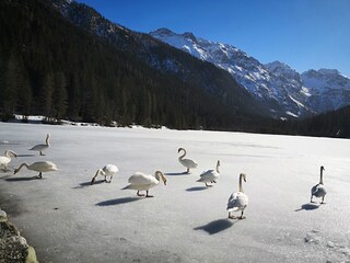 Appartamento per vacanze Kleinarl Ambiente 31