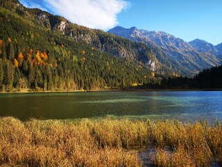 Vakantieappartement Kleinarl Omgeving 39