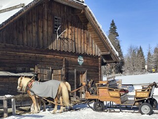 Appartement de vacances Kleinarl Environnement 32