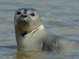 Casa per le vacanze Ballum Ambiente 11