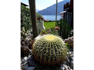 Villa Pianello del Lario Registrazione all'aperto 6