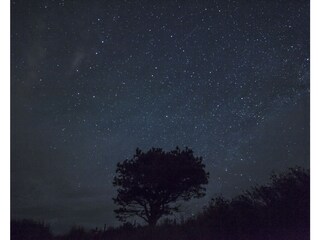 Dark Sky Park  (NP-Lauwersmeer)