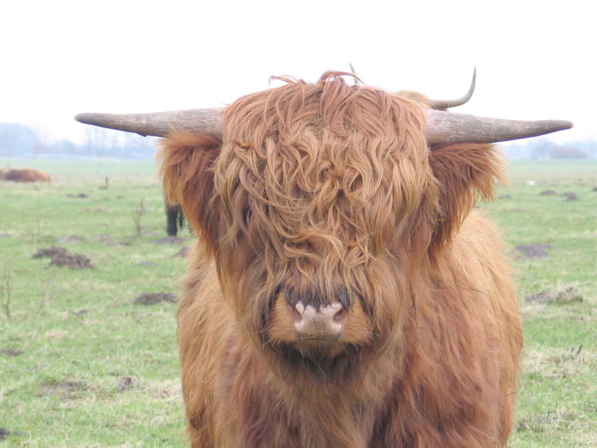 National park Lauwersmeer