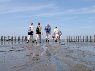 Mud hiking (Wadden Sea)