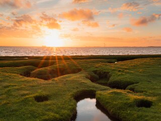 B&B Vierhuizen Environment 32