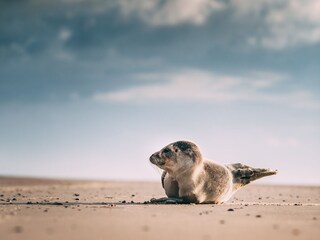 B&B Vierhuizen Environment 39