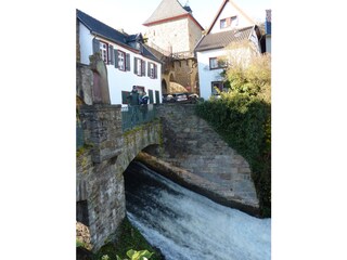 Die Erft fließt in die Stadt