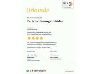 DTV - Urkunde 2025