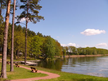 Ferienhaus Am Ellbogensee - Seeblick